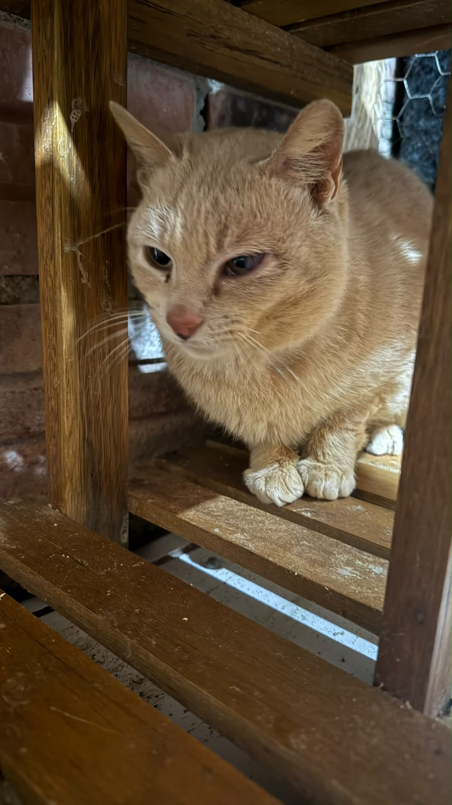 Gabriel
